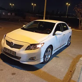 Toyota Corolla 2010