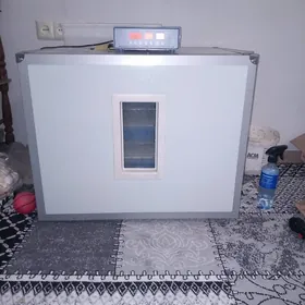 inkubator инкубатор