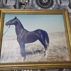 портрет/portret