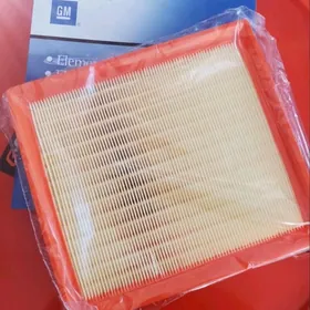 Chevrolet Monza Howa filter