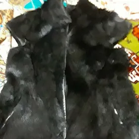 норка гурсакжа