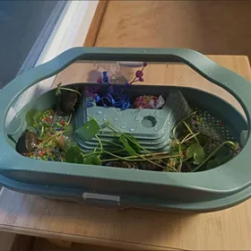 террариум для черепах