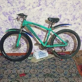 Turkmenistan tigir salcona