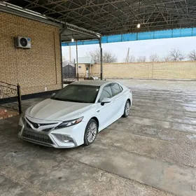 Toyota Camry 2020