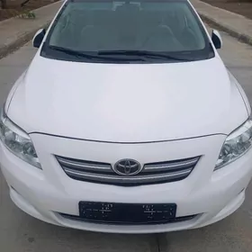 Fara Haliji  karolla 208 2010