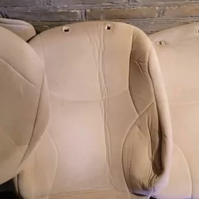 Prado sedenya çehol