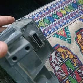 Wozik amer Folus fagel