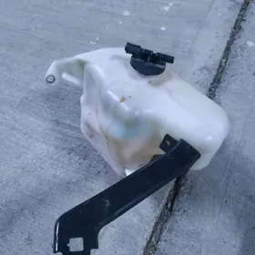 Suw bocka . Rasitelni  Carolla