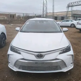 Toyota Corolla 2021