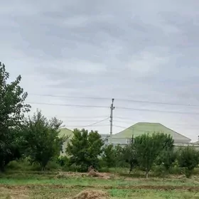 BUDYONNY satlyk mellek