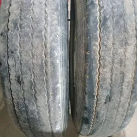 6..50..16.lik balon. kamir fil