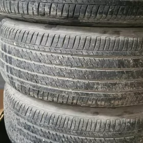 205-55-17 firestone 2023