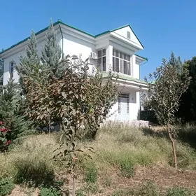 Taze zaman katez 1 tapgyr