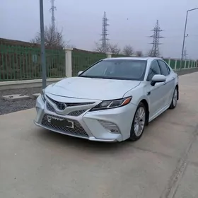 Toyota Camry 2020