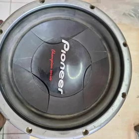Pioneer 1000w