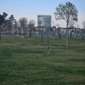 satlk Mir8 2kom 4etaz