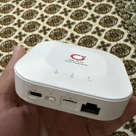 wifi yanynda goterilyan