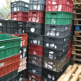 plastmas yasik alyan