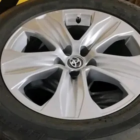 Haylander diska pakriska