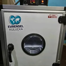 Turkiya ve Russiya inkubator