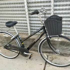 27 BRIDGESTONE ALBELT