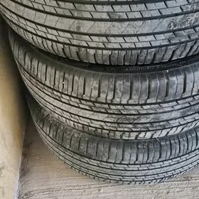 pakriska bristone 20 lik