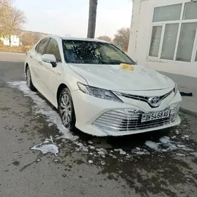 Toyota Camry 2020