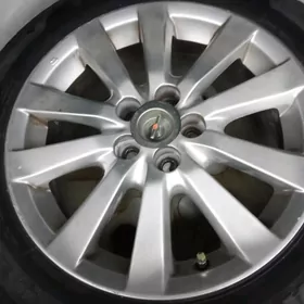 karolla disga 16 lik