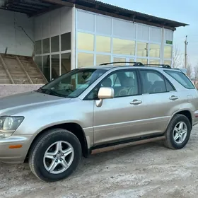 Lexus RX 300 2002