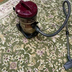 pilisos tozan sorujy