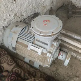 elektro mator dwigatel