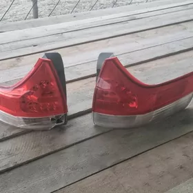 Сиенна. 2012 .