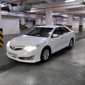 Toyota Camry 2013