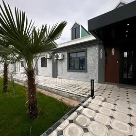 Arenda Katez️ Çehow Mopra️