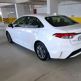 Toyota Corolla 2021