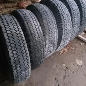 Zil 11.00R20 Belsina 6-şuk