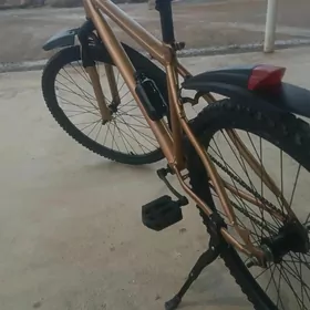 TÜRKMENİSTAN TİGİR