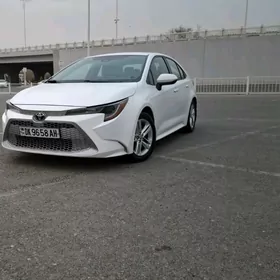 Toyota Corolla 2021