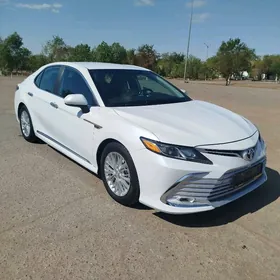 Toyota Camry 2019