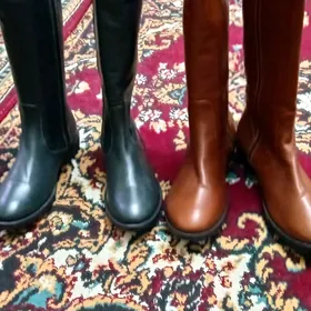 zenanlarüçinädikler