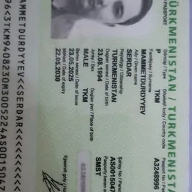 pasport yitdi zagran