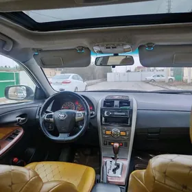 korolla sidenya abmen