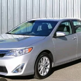 Sürüji (водитель)