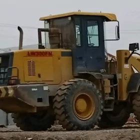 XCMG LW300F 2014