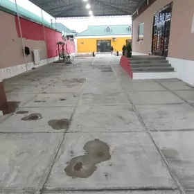 Gokje Satlyk plan jay