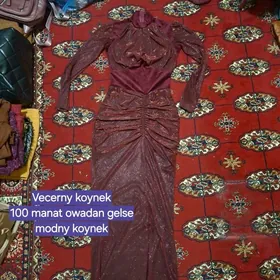 койнек вечерны