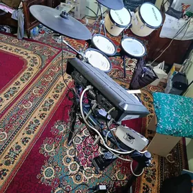 Roland Baraban TD 9 kv