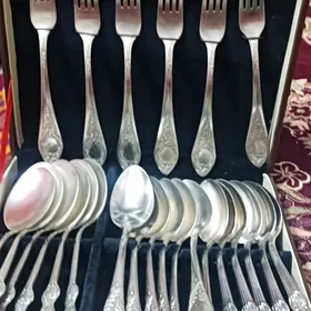 Gümüş gaşyk wilka