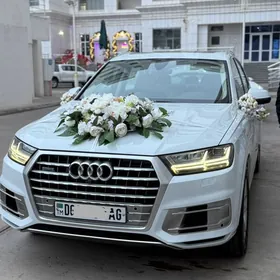 Audi Q7 2017