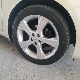 karola exclusiv diska pakryska